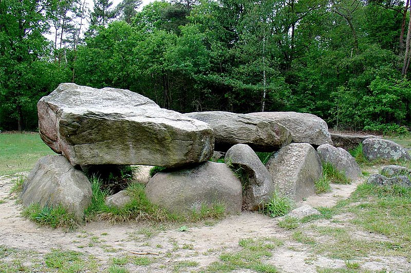 Drentse heide