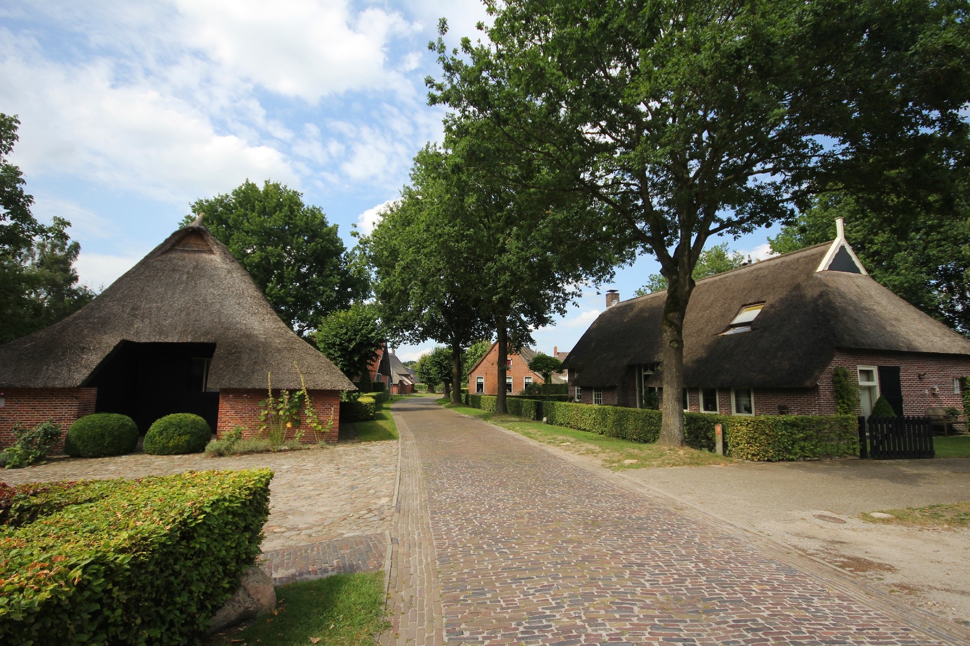 Boederij in Drenthe